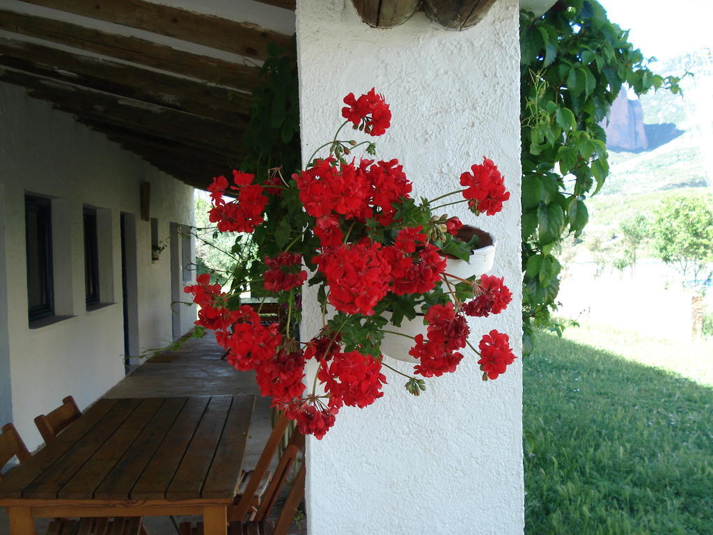 Camping Bungalows Armalygal Murillo de Gállego Zimmer foto